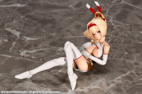ASRA ARCHER 12