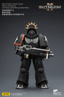 Game Edition Raven Guard Heavy Intercessor with Heavy Bolt Rifle and Bolt Pistol 13