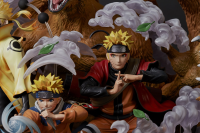 NARUTO SHIPPUDEN 1/6 Figures "Growth" 12