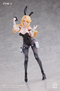 Guardian Erena 1/12 Articulated Figure 7
