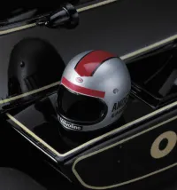 Hasegawa [LIMITED NO-REORDER] 1/20 LOTUS 79 1978 GERMAN GP DETAIL UP VERSION - Scale Kits - photo 3