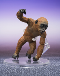 SUKO & MOTHRA (2024) FROM GODZILLA x KONG: THE NEW EMPIRE	GODZILLA x KONG: The New Empire ""GODZILLA x KONG: The New Empire"", TAMASHII NATIONS S.H.MonsterArts 8
