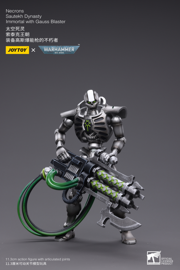 WH40K-Necrons Sautekh Dynasty Immortal with Gauss Blaster