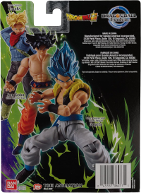 Dragon Ball Evolve - Super Saiyan God Super Saiyan Gogeta 4