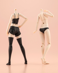 DRESS UP BODY[M] COLOR C Ver. 19