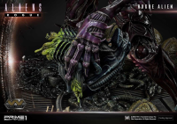 Premium Masterline Aliens (Comics) Rogue Alien Battle Diorama EX Version 45