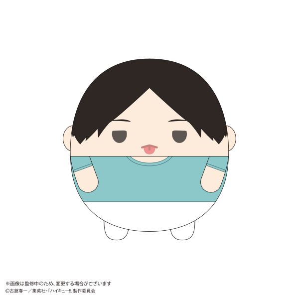 Haikyu!! FUWA KORORIN Msize 9  (ITEM D)