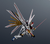 ZGMF/A-262PD-P MIGHTY STRIKE FREEDOM GUNDAM "GUNDAM" 5