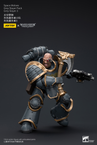 Space Wolves Grey Slayer Pack Grey Slayer3 9