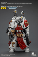 Blood Angels Sanguinary Priest with Heavy bolt pistol, chainsword and narthecium 1