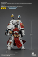 Blood Angels Sanguinary Priest with Heavy bolt pistol, chainsword and narthecium 5