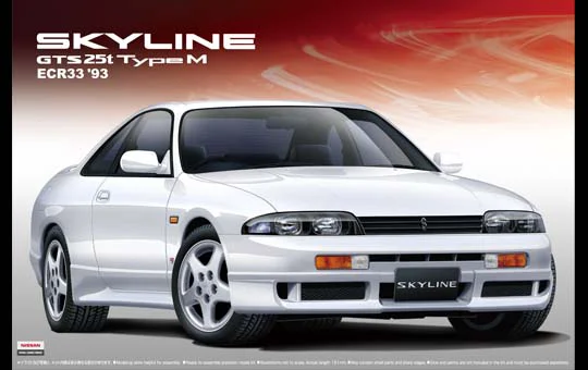 Aoshima THE BEST CAR GT #48 : 1/24 ECR33 Skyline GTS 25t TypeM '93 - Scale Kits