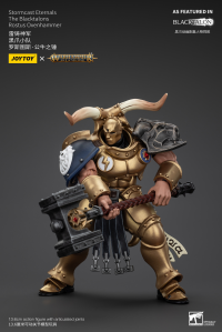 Stormcast Eternals The Blacktalons Rostus Oxenhammer 9