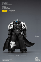 Raven Guard Mor Deythan with Nemesis bolt rifle 22
