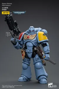 JOYTOY Space Wolves Intercessors - Warhammer 40K - photo 7