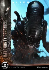 Prime 1 Studio Museum Masterline XL Alien: Romulus Scorched Xenomorph - Alien (Movie Franchise) - photo 48