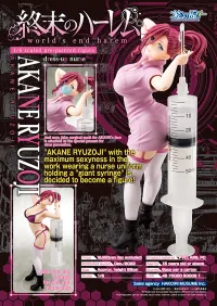 Hakoiri-musume 1/6 scaled pre-painted figure worlds end harem AKANE RYUZOJI dress-up nurse - world’s end harem - photo 2