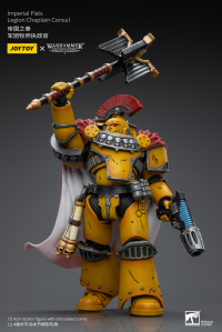 Imperial Fists Legion Chaplain Consul 11