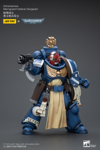 Ultramarines Sternguard Veteran Sergeant 2