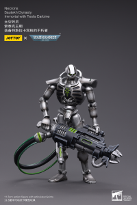 WH40K-Necrons Sautekh Dynasty Immortal with Tesla Carbine 4