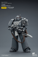 Space Wolves MKVI Tactical Legionary 14