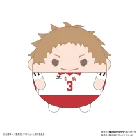 MAX LIMITED FUWA KORORIN M SIZE (C) - Haikyu!! - photo 1