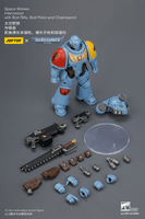 Space Wolves Intercessor with Bolt Rifle, Bolt Pistol and Chainsword 15