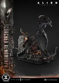 Prime 1 Studio Museum Masterline XL Alien: Romulus Scorched Xenomorph - Alien (Movie Franchise) - photo 32