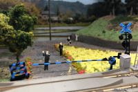 Railway Crossing（Blue×Black) 3