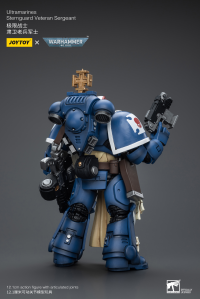 Ultramarines Sternguard Veteran Sergeant 9