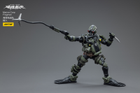 Marine Corp Frogmen 6