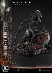 Prime 1 Studio Museum Masterline XL Alien: Romulus Scorched Xenomorph - Alien (Movie Franchise) - photo 29