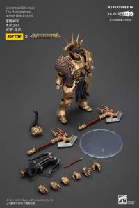 Stormcast Eternals The Blacktalons Neave Blacktalon 3