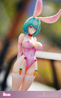 Bunny Girls: Limited Color Ver. 5