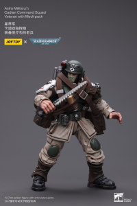 Astra Militarum Cadian Command Squad Veteran with Medi-pack 2