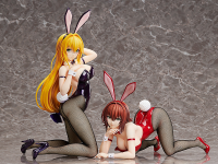 Ryoko Mikado: Bunny Ver. 8