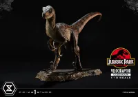 Prime 1 Studio Prime Collectible Figures  Jurassic Park (Film)  Velociraptor  Closed Mouth - Jurassic Park - photo 8