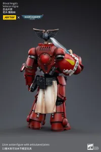 JOYTOY Blood Angels Veteran Vigna - Warhammer 40K - photo 4