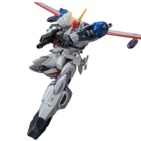 RIOBOT Metal Armor Dragonar Dragonar 1 Custom 11