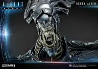 Prime 1 Studio Premium Masterline Aliens (Comics) Queen Alien Battle Diorama - Alien (Movie Franchise) - photo 13