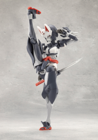 FUMA 11