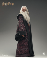INART - Harry Potter and the Chamber of Secrets - Albus Dumbledore 1/6 Collectible Figure Premium Version 13