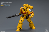 Imperial Fists Intercessor with Bolt Rifle, Bolt Pistol and Chainsword 23