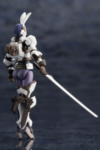 GOVERNOR PARA-PAWN LAT MIRROR Ver.1.5 6