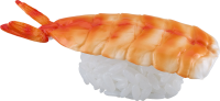 Sushi Plastic Model: Ver. Shrimp 2