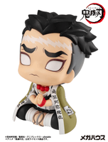Lookup Demon Slayer： Kimetsu no Yaiba Gyoumei Himejima(Repeat) 9