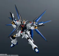 TAMASHII NATIONS ZGMF-X20A Strike Freedom Gundam - Mobile Suit Gundam SEED Destiny - photo 5