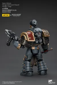 JOYTOY Space Wolves Varagyr Wolf Guard Squad Varagyr Thegn - Warhammer 40K - photo 9