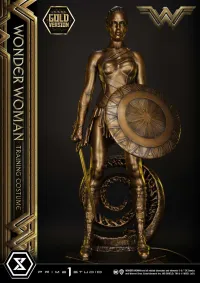 Prime 1 Studio Museum Masterline Wonder Woman (Film) Wonder Woman Training Costume Gold Version - DC Comics - photo 23