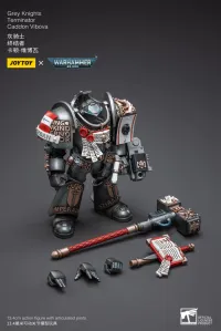 JOYTOY Grey Knights  Terminator  Caddon Vibova - Warhammer 40K - photo 2